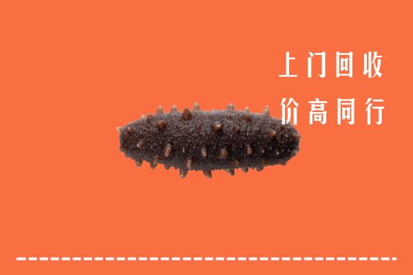 蛟河市回收海参