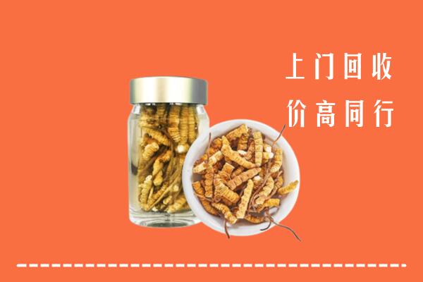 蛟河市回收冬虫夏草